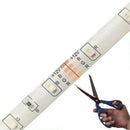 LedFlex Brasil - Rolo de Fita Led 5M I Lojas Castro®️