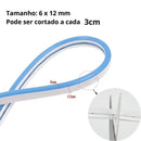 NeonFlex Premium - Fita Led 5MT´s I Lojas Castro®️