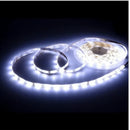 LedFlex Brasil - Rolo de Fita Led 5M I Lojas Castro®️