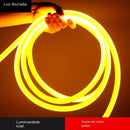 48925747511600|48925747609904